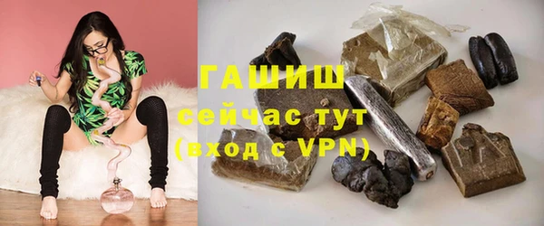 прущие грибы Няндома