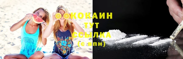 мдпв Алапаевск