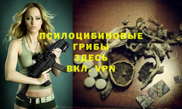 mdpv Алагир
