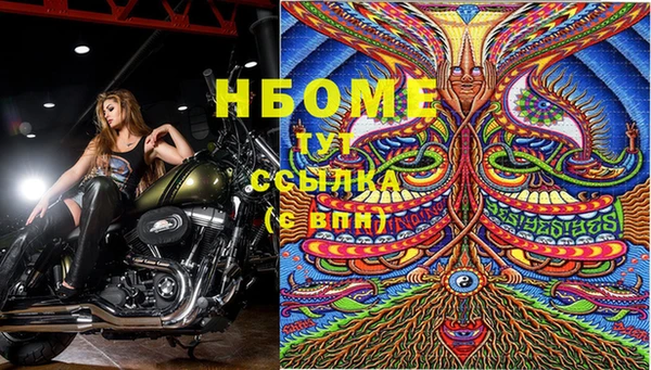 мдпв Алапаевск