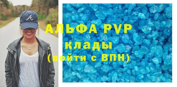 прущие грибы Няндома