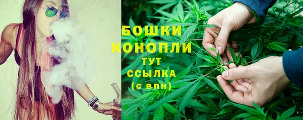 мдпв Алапаевск