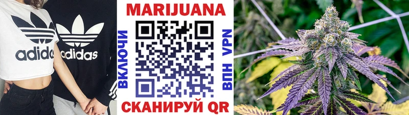 закладки Невельск Конопля планчик